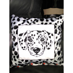 parrure dalmatien