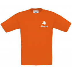 Pack de 10 T-shirts pour le camp