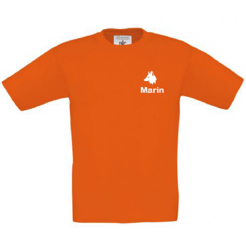 Pack de 10 T-shirts pour le camp