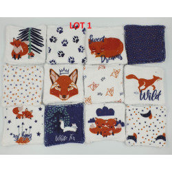 Lot de 10 lingettes Renard