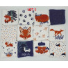 Lot de 10 lingettes Renard