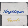 Serviette de toilette Zèbres brodés